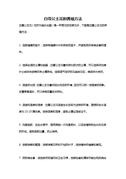 白雪公主花的养殖方法