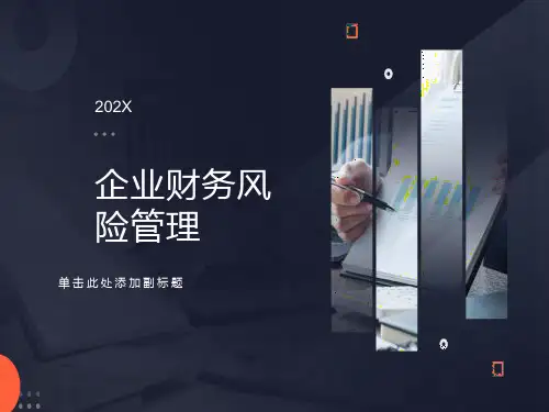 企业财务风险管理课件