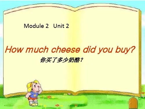 2022年外研五上M2U2How much cheese did you buy？PPT课件
