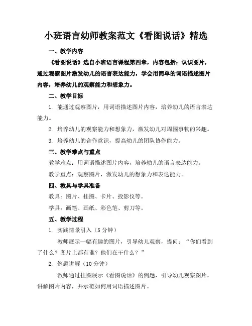 小班语言幼师教案范文《看图说话》精选