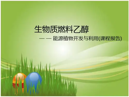 生物质燃料乙醇