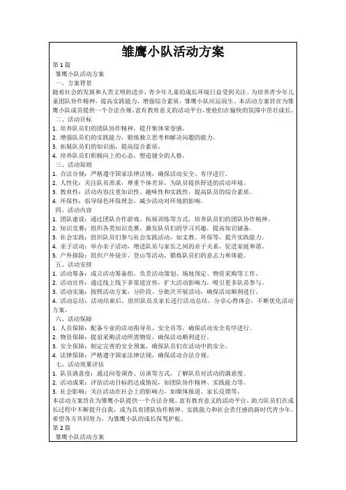 雏鹰小队活动方案
