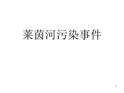 莱茵河污染治理ppt课件