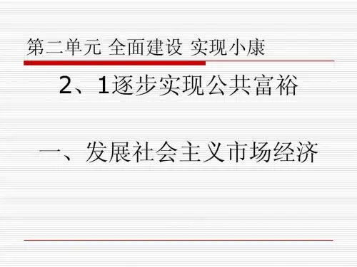 发展社会主义市场经济