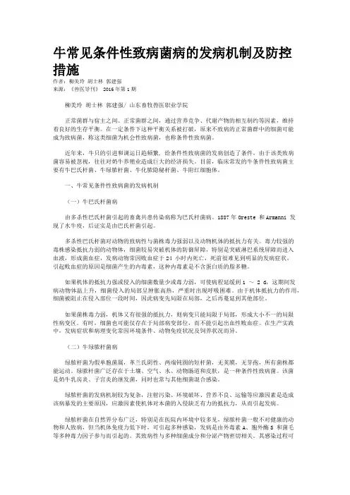 牛常见条件性致病菌病的发病机制及防控措施