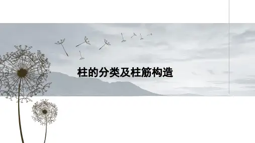 16G101图集柱的分类及柱筋构造