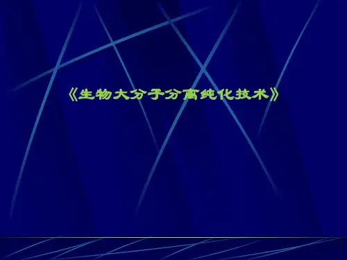生物大分子分离纯化技术(159页)