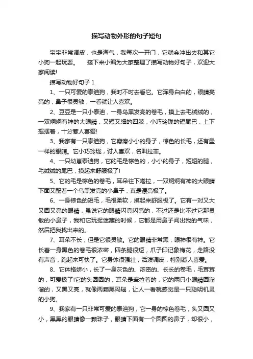 描写动物外形的句子短句