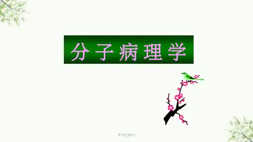 分子病理学课件