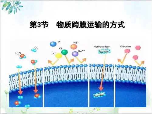 人教生物必修1第物质跨膜运输的方式(28张)-PPT优秀课件