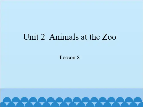 冀教版(三起)三年级下册英语课件Unit 2  Animals at the Zoo lesson 