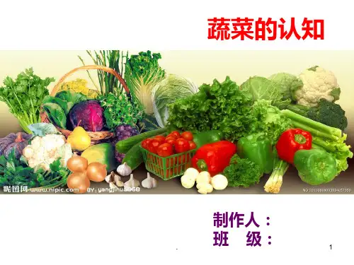 关于蔬菜的课件PPT课件