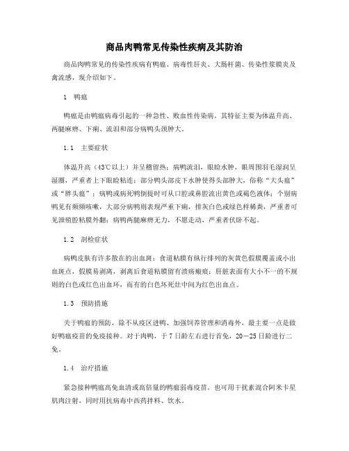 商品肉鸭常见传染性疾病及其防治
