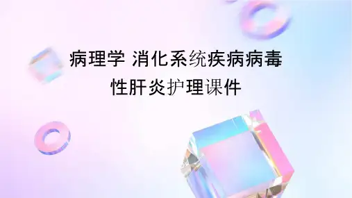 病理学 消化系统疾病病毒性肝炎护理课件