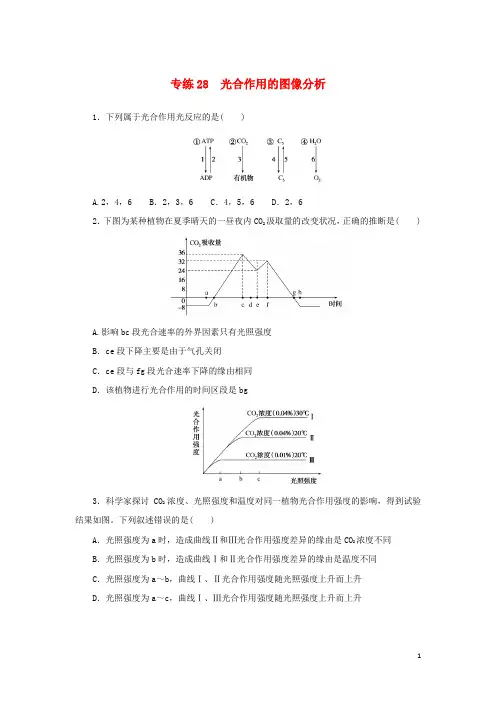 2025版新教材高考生物微专题小练习专练28光合作用的图像分析