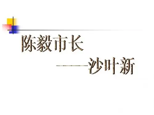 陈毅市长