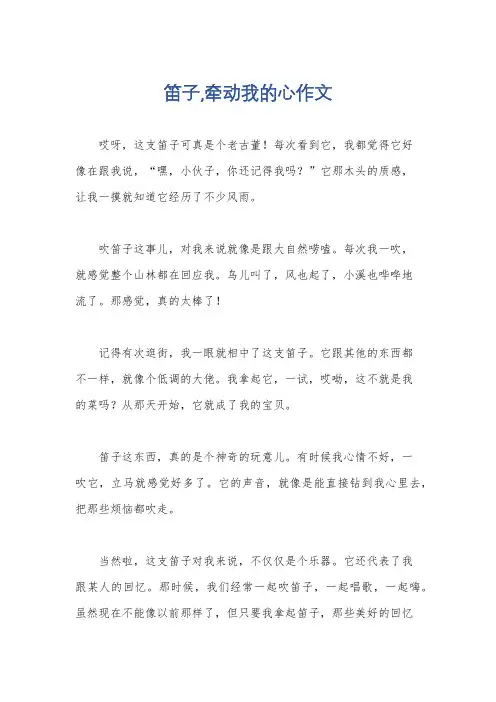 笛子,牵动我的心作文