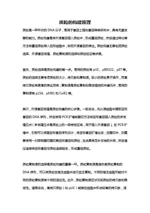 质粒的构建原理