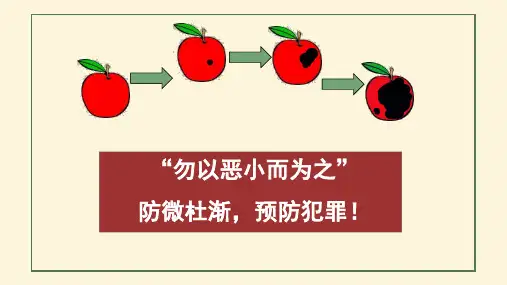 5.2 预防犯罪 课件-道德与法治八年级上册(25张PPT)