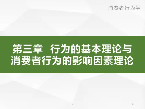 第3章-行为的基本理论与消费者行为的影响因素理论消费者行为学导论卢泰宏PPT课件
