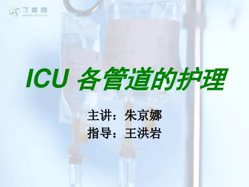ICU 各管道的护理 PPT课件