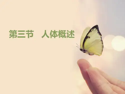 人体概述课件ppt