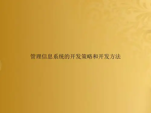 管理信息系统的开发策略和开发方法
