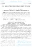 CO2泡沫双子表面活性剂清洁压裂液研究与试验
