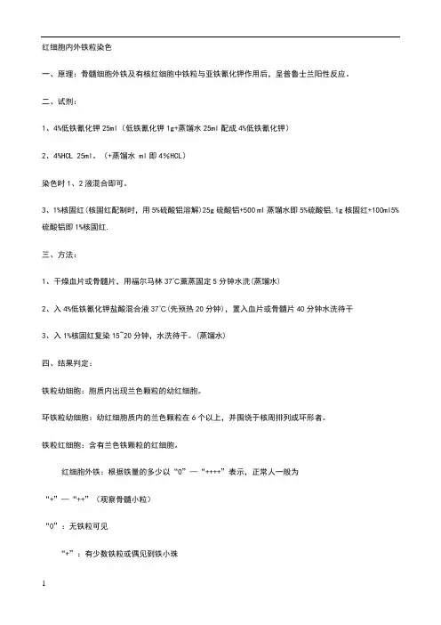铁染色