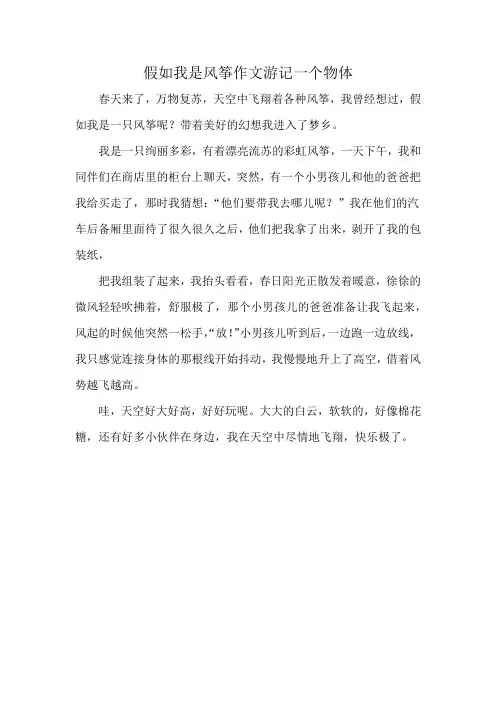假如我是风筝作文游记一个物体