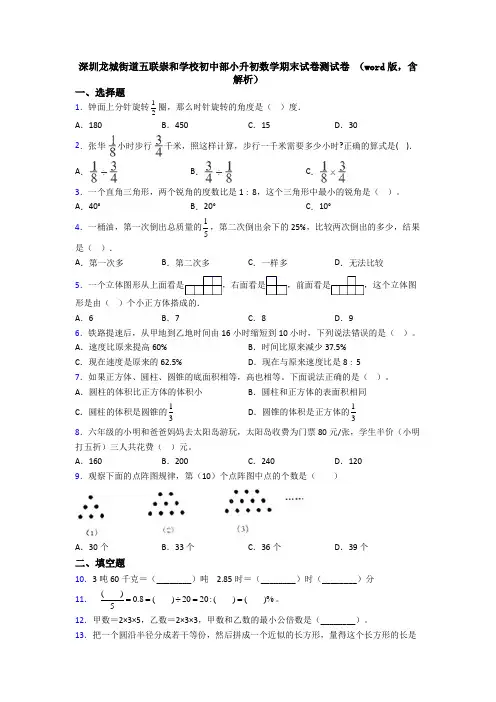 深圳龙城街道五联崇和学校初中部小升初数学期末试卷测试卷 (word版,含解析)