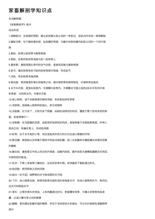 家畜解剖学知识点