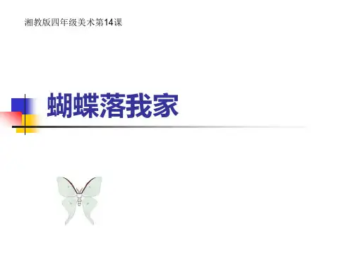 最新四年级上册美术课件-第十四课 蝴蝶落我家 ︳湘美版(2019秋)(共21张PPT)