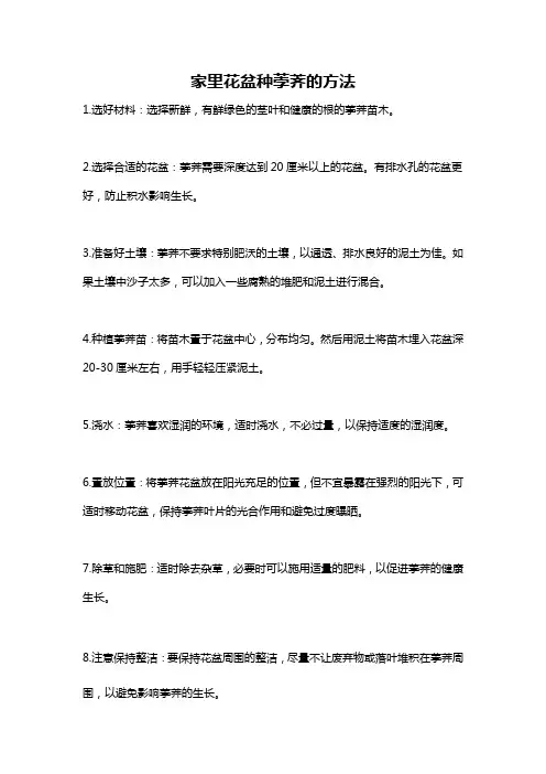 家里花盆种荸荠的方法