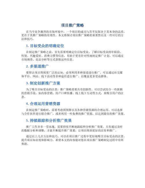 项目推广策略