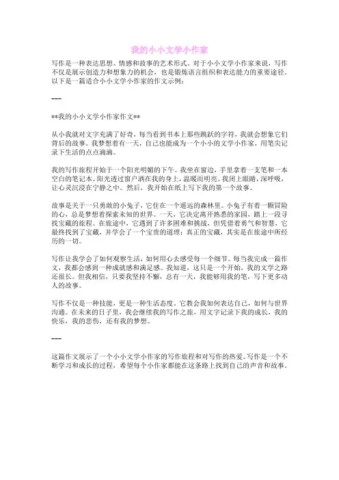 我的小小文学小作家
