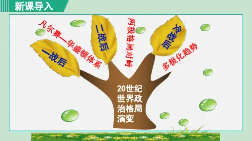 人教版九年级历史下册_第21课 冷战后的世界格局
