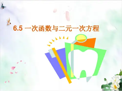 初中数学《函数》PPT执教课件 北师大版19