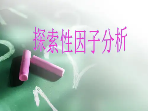 探索性因子分析(课堂PPT)