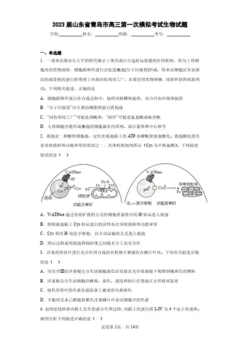 2023届山东省青岛市高三第一次模拟考试生物试题(含答案解析)
