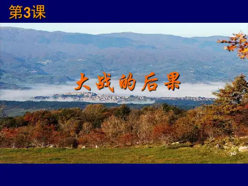大战的后果 PPT课件 1 岳麓版