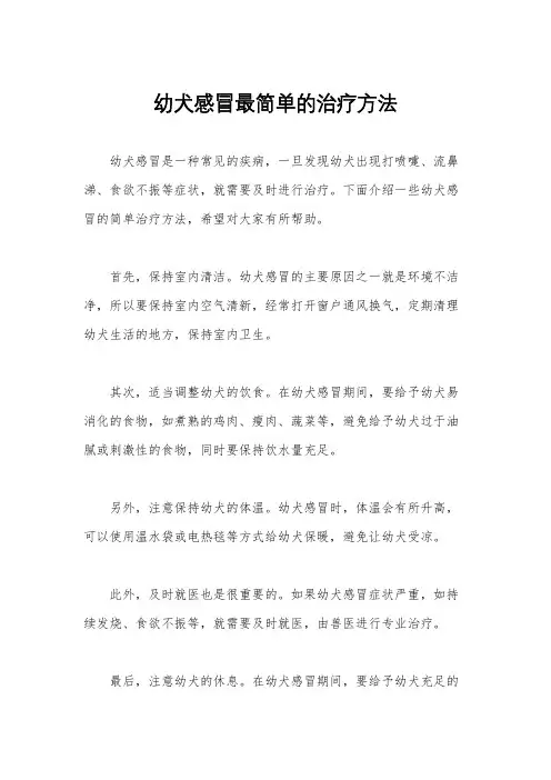 幼犬感冒最简单的治疗方法