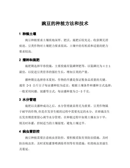 豌豆的种植方法和技术