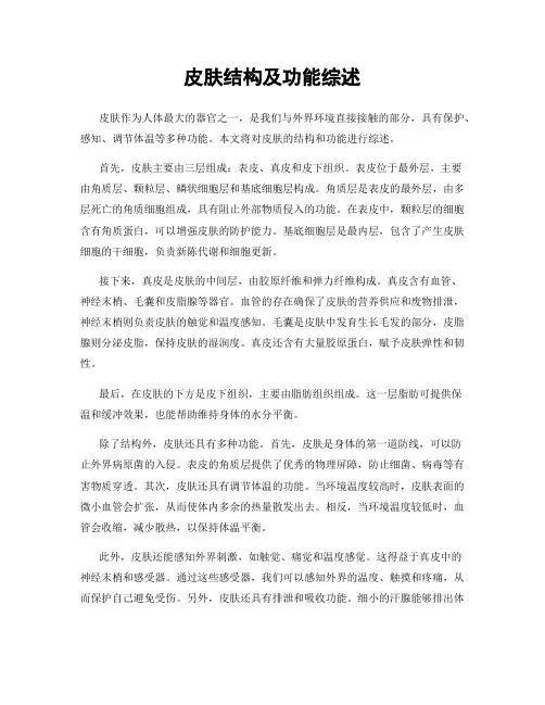 皮肤结构及功能综述