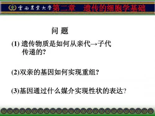 2第2章-遗传的细胞学基础-201231211