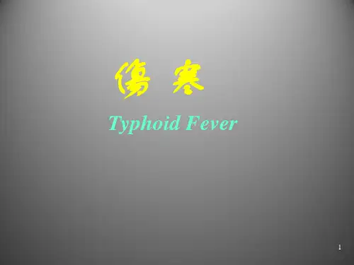 传染病学课件：伤寒