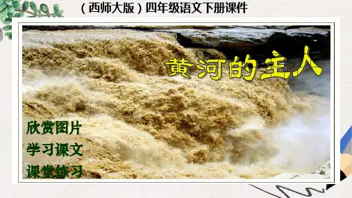 西师大版小学四年级语文下册 黄河的主人 2精品ppt课件