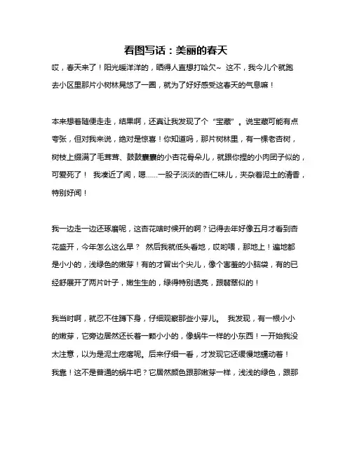 作文《看图写话：美丽的春天》