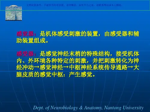 眼睛结构详细图解课件