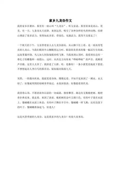 家乡九龙谷作文